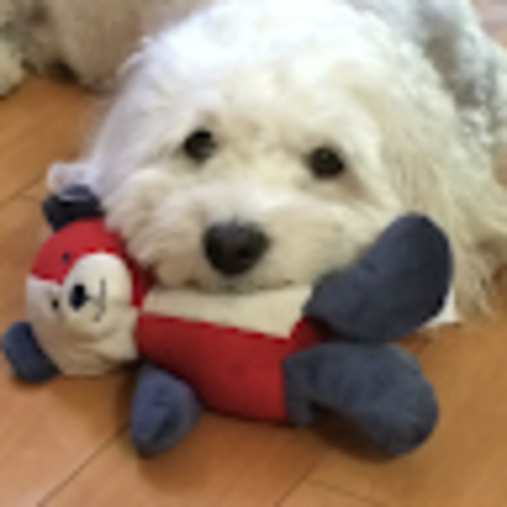 Meet your Posher, Anusha